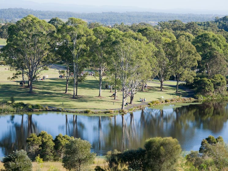 The lake at the Australian Botanical Gardens is surrounded by gumtrees and other flora.