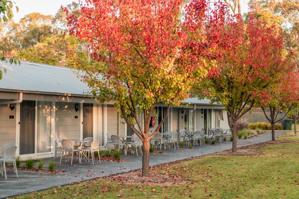 Beautiful autumn trees on a family reunion venue in Sydney