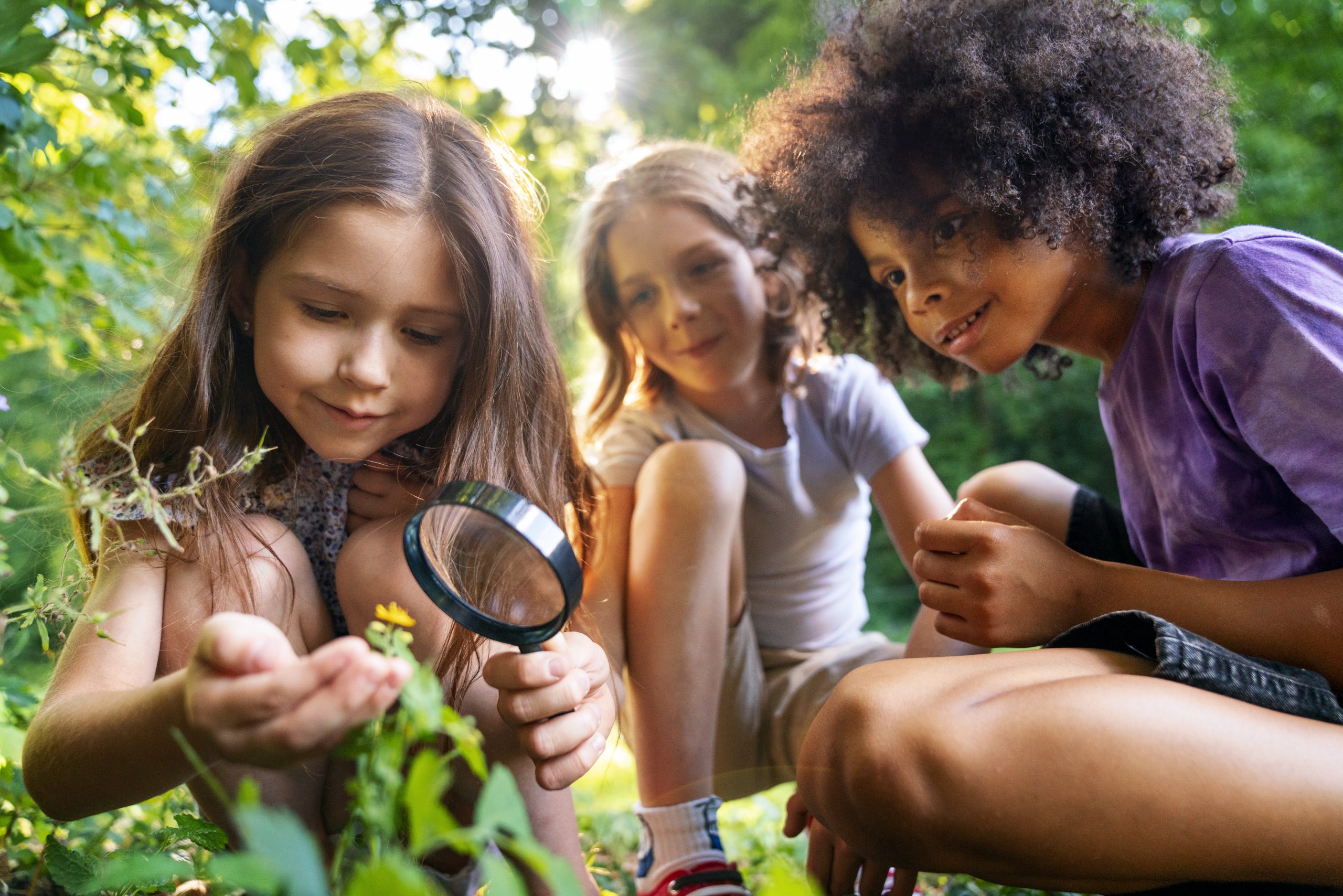 Three girls look at a flower through a magnifying glass at their annual school camp in Sydney